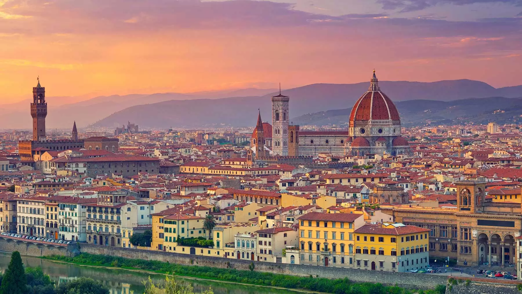 Polinex – Firenze